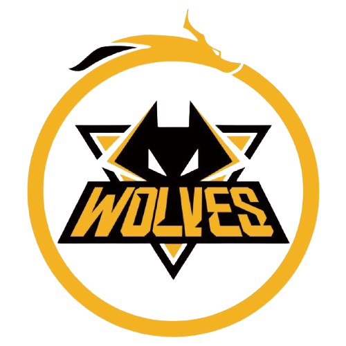 带来了胜利 带来了胜利